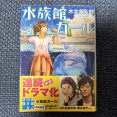 【中古】 織姫パズルブレイク 織姫パズルブレイク 矢野龍王 小説 - メルカリ