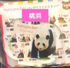 アドベンチャーワールド パンダ ランダムアクスタ 桃浜