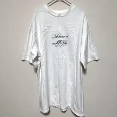 【F】petit fleur プチフルール　レディース　半袖　Tシャツ　白　美品