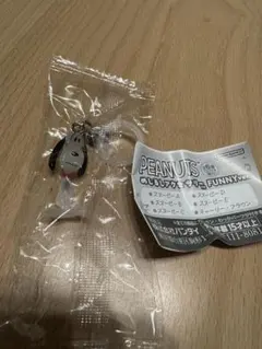 めじるしアクセサリー　スヌーピーA カプセルトイ FUNNY ver.