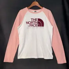 THE NORTH FACE フロッキープリント 長袖Tシャツ ノースフェイス