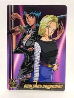 PSA10 ドラゴンボール ワンピース 森永 ウエハース カード 18号 ロビン 週刊少年ジャンプ40周年 ドラゴンボール×ワンピース 人造人間18号