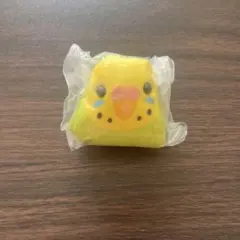 インコ カプセルトイ