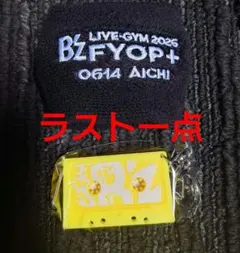 B'z 6/14 IGアリーナ愛知 限定キーホルダー ガチャ FYOP+のサムネイル