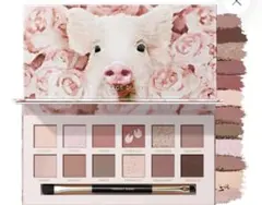 PERFECT DIARY アイシャドウパレット 17 ローズピンク