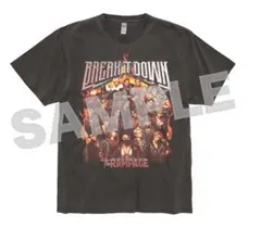 Item thumbnail for item dd140acc-eddb-4995-a278-974c0ce76af6