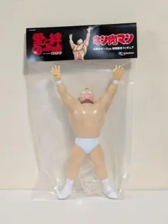 FMW 冬木弘道　完全限定フィギュア FMW 冬木弘道 完全限定フィギュア - メルカリ