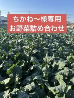 ちかね～様専用　お野菜詰め合わせ