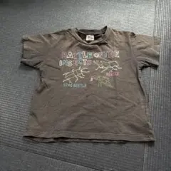 BREEZE キッズ Tシャツ 昆虫120cm カブトムシ クワガタ カマキリ