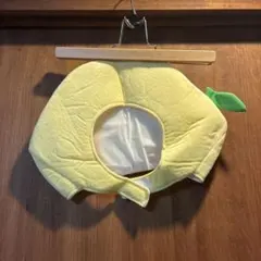 Item thumbnail for item 25b91172-3f4c-4503-b80e-a63a290e9505