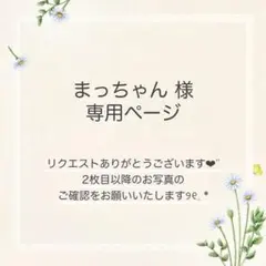 まっちゃん様 おまとめ3点