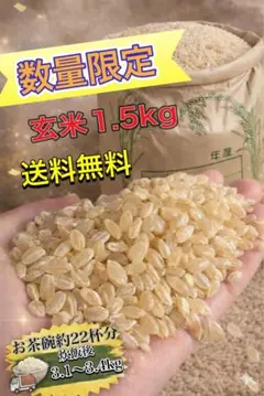 2026年最新】米 古米の人気アイテム - メルカリ