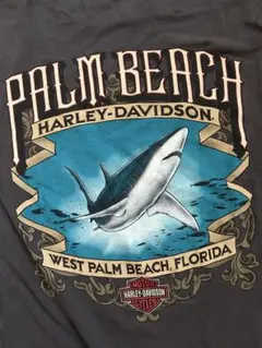 Item thumbnail for item d27b891b-cace-430a-95fe-6859594d4f67