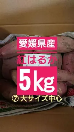 愛媛県産 紅はるか ５㎏ ⑦ 大サイズ中心