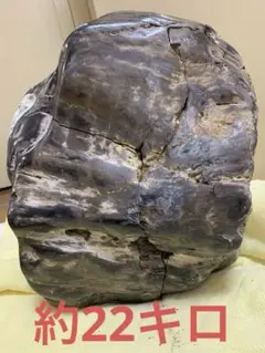 Item thumbnail for item 42544bc0-e17c-4595-bf13-913214d9eb98