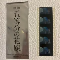 劇場版 五等分の花嫁 第6弾 入場者特典 生コマフィルム 中野三玖