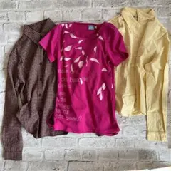 Item thumbnail for item 0215ef88-1f0a-486b-b32c-6dc4b3c71399