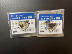 シークレット カルガモ隊 子ガモ 郡司&レイエス選手