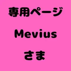 Mevius 様　専用ページ
