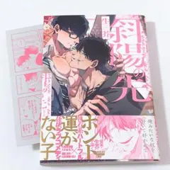 斜陽の先 生芥