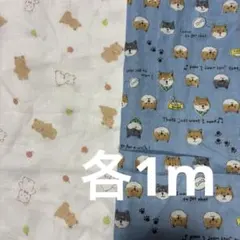 ダブルガーゼ生地