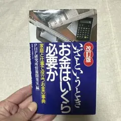 Item thumbnail for item 4f2d3fe6-7399-4076-b42b-bf3b69893e86