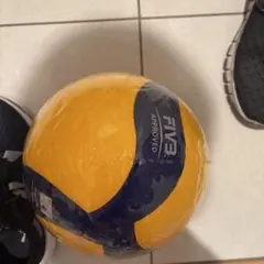 Item thumbnail for item 9f60e43e-2a8e-4ecd-846f-dec23d026207