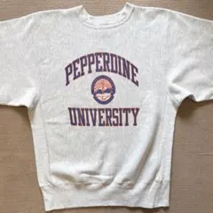 【希少！染み込み3段】￼ 90s リバースウィーブ 刺繍タグ カレッジ L