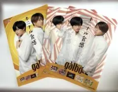 ガルボ クリアファイル 中島健人 菊池風磨 14枚セット　ふまけん　未使用