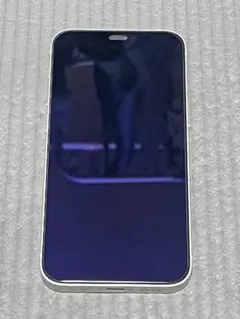 Apple iPhone 12mini 128GB グリーン ケース付き