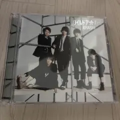 嵐 ワイルド アット ハート CD