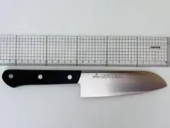 Item thumbnail for item 616e8708-f299-4135-9e70-d9bd603924d3