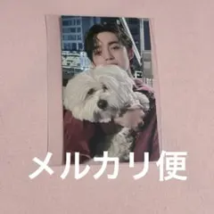 SEVENTEEN セブチ 東京ドーム 会場限定 トレカ エスクプス