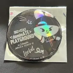 エコパ PLAYGROUND 缶バッジ　Leebit リービット