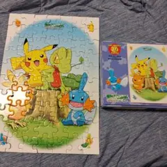 ポケットモンスター アートパズル 70ピースのサムネイル