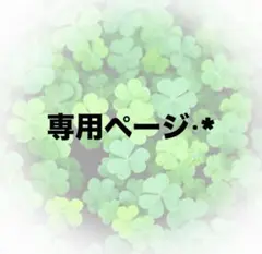 専用ページ.☆.。.:*・°