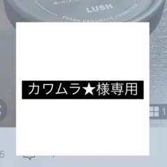LUSH カワムラ★様専用ページ