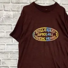 USA製90sヴィンテージTシャツ！シングルステッチ　ブラウン半袖古着　L 18