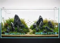 4ADA 万天石セット 12キロ 一点物 石組 絶版 水槽 レイアウト 山谷石