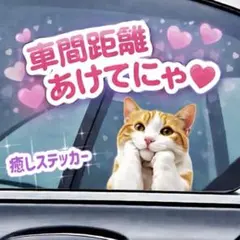 Item thumbnail for item bbac9305-2833-4f89-9d95-235a57ca73dc