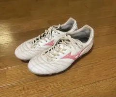 Item thumbnail for item e9d8974e-a66e-43ed-8f2c-cdb147fdf48a