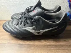 Item thumbnail for item 622c6811-c64a-42c5-b5fa-371771f3ede4