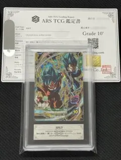【ARS10 鑑定書付き】孫悟空 SDVP-031 ARS10 鑑定書付き】孫悟空 SDVP-031 - メルカリ