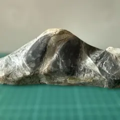 水石　富士山 2026年最新】水石 富士山の人気アイテム - メルカリ