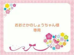 おおさかのしょうちゃん様　専用