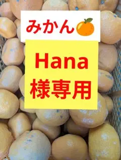 みかん　Hana様専用です