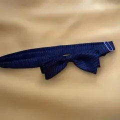 蝶ネクタイ　kids 難あり