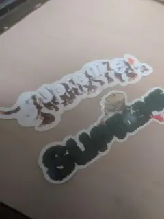 Supreme Lizard Sticker　シュプリームトカゲ シュプリーム