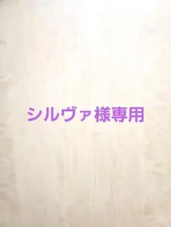 シルヴァ様　仏花セット　造花