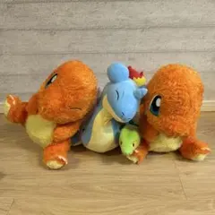 포켓몬 ぬいぐるみ 4点セット 파이리 ラプラス キモリ